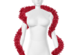 Thick Boa DRV