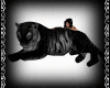 BLACK TIGER