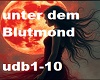Unter dem Blutmond