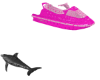 PinkSki Dolphins Designe