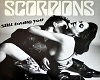 scorpions S.L.YOU