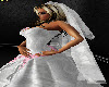 dream wedding veil
