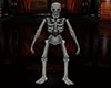 monster skeleton /anim.