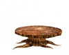 Rustic Tree Table