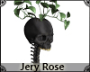 [JR] Skull Plant