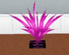 purplepink palmtree plan