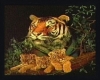 Tiger & Cubz Frame