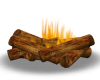 ~NS~Burning Logs2
