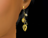 (H)Gold earrings