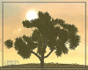 ∞ SolvitaPetalTree