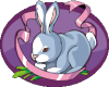 Hw: Bunny Fun Time