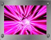 Pink Dj Light*