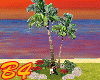 (B4) Coconut Tree love