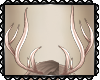 *D Ivory Antlers
