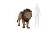 Lion Pet