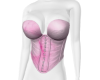 H. Pink Corset