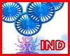 INDIA  Particle