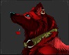 red wolf background *F*