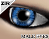 {Zir}Bule Smart eyes1