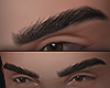 Male Eyerbrows