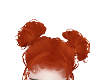 cat | ginger