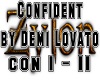 [ZY] Confident 