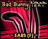 ! Bad Bunny Ears (F)