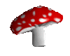 Magic Mushroom-V4