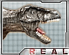 =Tyrannosaurus rex =
