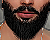 §►Vale III Beard