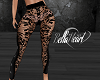 Black Lace Pants