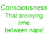 Consciousness - (lgreen)