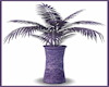 OR Salon Plant Vase(4)