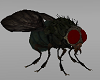 Big House Fly Halloween Costumes Funny Comedy LOL
