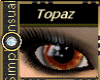 SS EWindows~Topaz