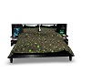 Glow Star Bed