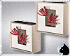 !Flower picture boxes