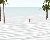 (SB)Tropical White Beach