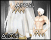 Holy Angel Robe