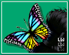 ✮Kid Butterfly Head