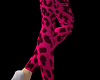 Stockings - Leopard Pink
