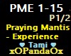 Praying Mantis - Experie