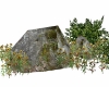 Bushes and rocks