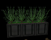 Night Planter