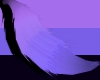 樽 Purple Tail M/F