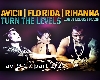 avicii florida 2/2