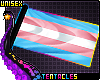 ★ Trans Pride Flag M/F