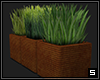 Potted Grass S1