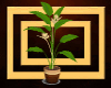{RAW}Profound Plant