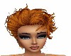 MADONNA AUTUMNE